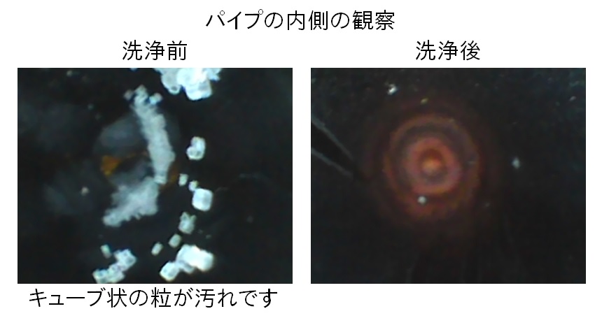 3R-VFIBER_endoscopic image.jpg