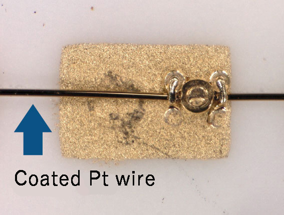 Coated Pt wire
